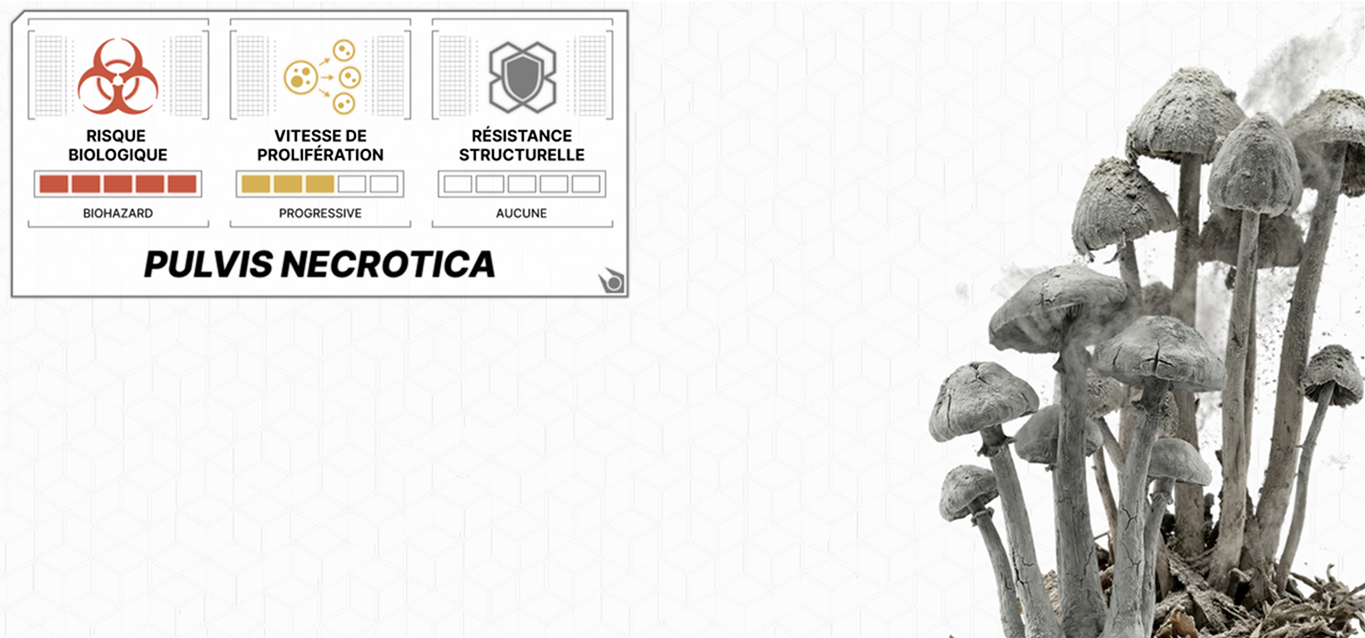 PulvisNecrotica.png