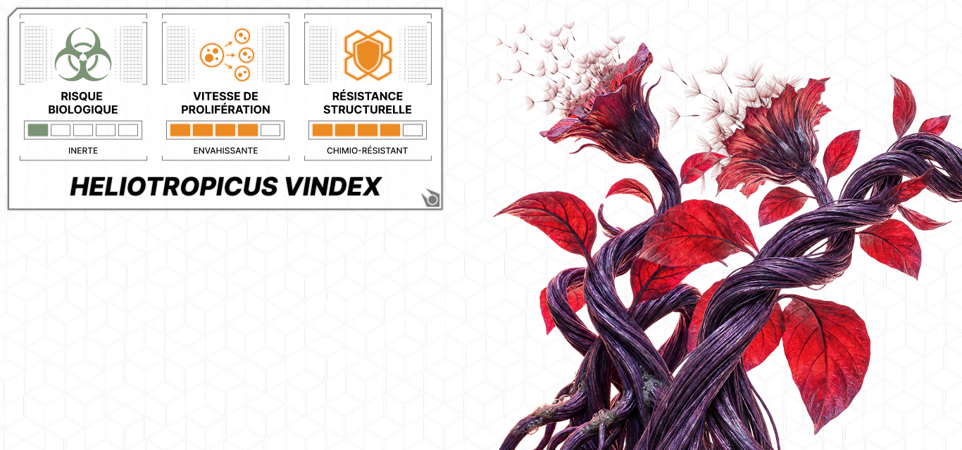 HeliotropicusVindex.png
